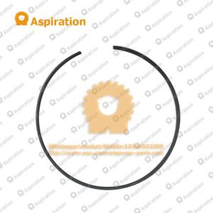 Sealing Ring 60014259